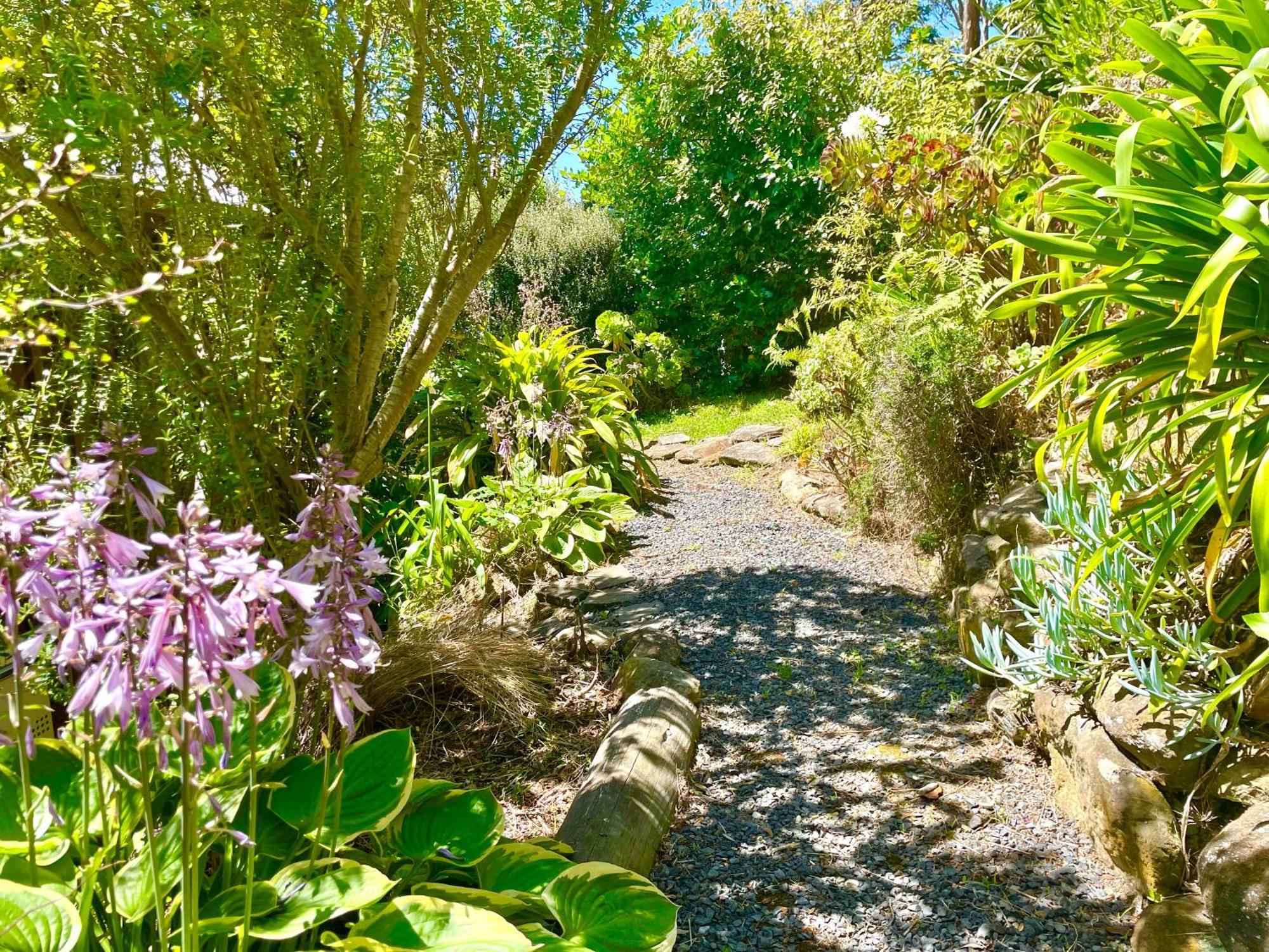 The Cove Cabin - Your Quiet Escape Dunedin Dış mekan fotoğraf