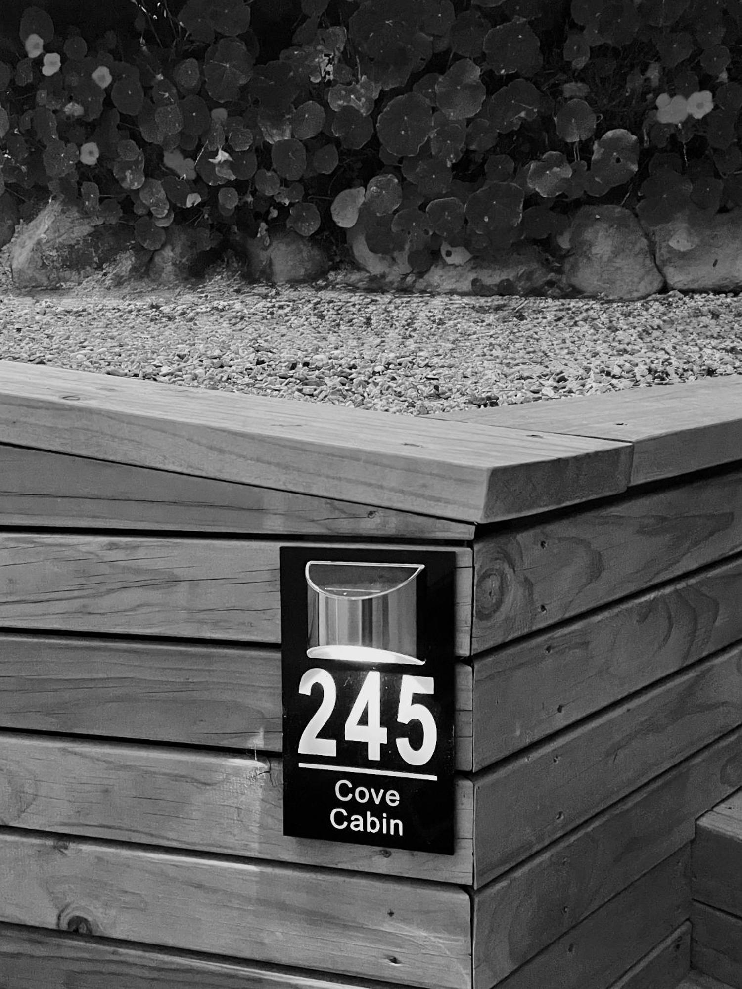 The Cove Cabin - Your Quiet Escape Dunedin Dış mekan fotoğraf